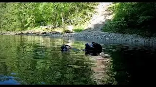 Divje jezero Freediving