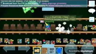 Harvesting 100+ Display Shelf Trees | Growtopia