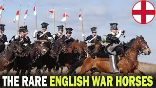 РЕДКИЕ АНГЛИЙСКИЕ БОЕВЫЕ КОНИ, УТРАЧЕННЫЕ ДЛЯ ИСТОРИИ!