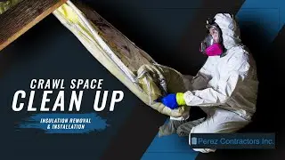 Insulation Removal and Replacement affected by Rodent Feces.
