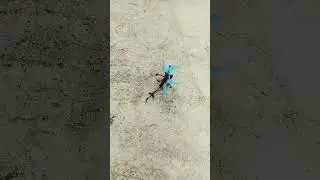 hand sensor halicopter hight test 439 rupees this halicopter