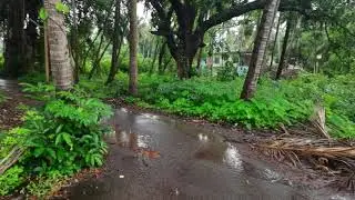 Clear Title - Land for Sale - Arpora , North Goa at 24 thousand per square meter
