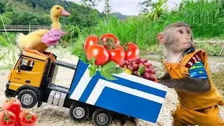 Умный Бим Бим помогает папе собирать фрукты и помогает утятам попасть в аварию