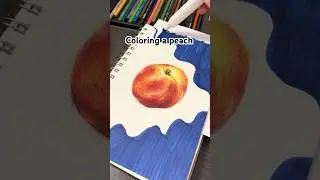 Coloring a peach w color theory | colored pencil drawing #peach #colortheory #coloring #fruitart