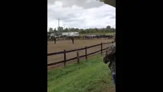 Nova Quarters Horse Show - Fati