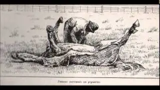 Mala suerte ( alberto danza)