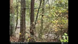 Homes for Sale - 302 Sandberg Lane, Cardinal, VA