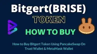 🤑Bitgert Tutorial !! :  BUSD passive income, How to BUY BRISE, stake BRISE, to  on BSC and PC V2