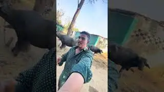 SKVLOGS
