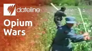 The battle to stop Afghanistan's opium trade