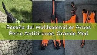 Rese&ntilde;a del Waldseem&uuml;ller Arnes Perro Antitirones, Grande Mediano Peque&ntilde;o Arn&eacute;s Pecho Antitirones Per