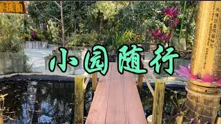 小园随行