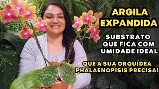 COMO PLANTAR ORQU&Iacute;DEA PHALAENOPSIS NO VASO DE BARRO COM SUBSTRATO ARGILA EXPANDIDA!!!