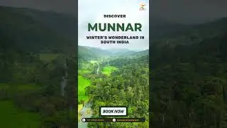 Munnar Trip | Tea Gardens & Misty Hills | Kerala Travel Guide