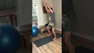 Dynamic Core Stability - Pallof Press