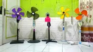 Fan / Koleksi kipas angin joget viral‼️