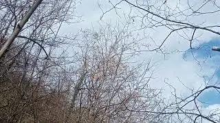 Aim on a bird with Cometa Air rifle||#mountains #nature #wilderness 