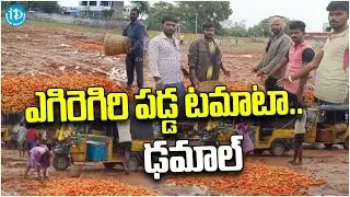 Tomato Price Falls Down | Farmers Worried as Tomato Prices | Latest News | iDream News