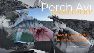 &Ccedil;AMLIDERE PERCH AVI / SULAR BAYA &Ccedil;EKİLMİŞ 26.01.2025