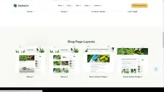 Herbalist  Medical Marijuana Store Elementor Template Kit apothecary treatment