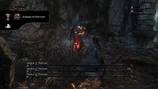 Prey Slaughtered