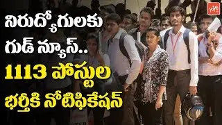 Good News to Unemployed: 1113 Mid Level Health Provider Jobs |  AP MLHP 2019 | YOYO TV Channel