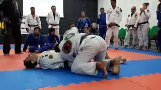 Seminário Roberto 
