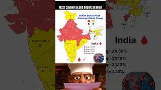 Most Common Blood Groups in India by State 🩸🇮🇳 #shorts