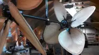 Fanimation FP240OB Palisade Oil-Rubbed Bronze Ceiling Fan