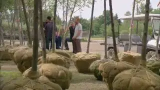 Dirty Business - Backyard Harmony - Part 3 of 4!!
