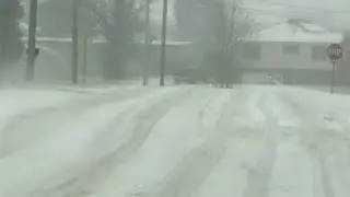 Local 4 News at 4 -- Feb. 17, 2021