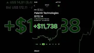 WallStreetBets Genius? PLTR Call Grows $387 to $11,000 in 1 Year! #wallstreetbets #financeshorts
