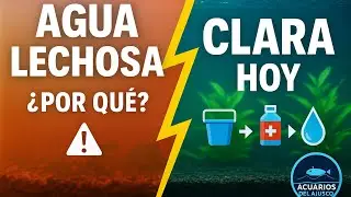 Agua BLANQUECINA: por qué sale y cómo dejarla clara (paso a paso)