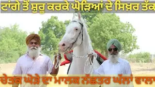 ਟਾਂਗੇ ਤੋਂ ਘੋੜਿਆਂ ਦੇ ਸਿਖ਼ਰ ਤੱਕ ਦਾ ਸਫ਼ਰ