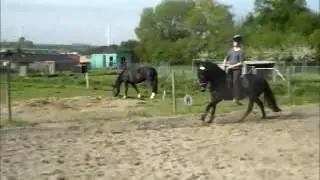Fleur Sally Delacour juni 2012.wmv