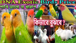 Exotic Birds Price Update | Serampore Birds 🐦 Pet Market | Exotic Bird Pet Market Serampore | Birds
