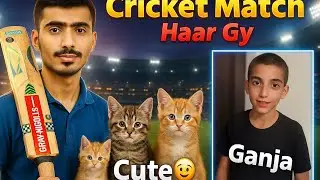 Cricket match😅 | Itne cute kittens🐱 | Our 2nd vlog alhamdulilah 😇😍| Abeer ki tind kerwadi 😅