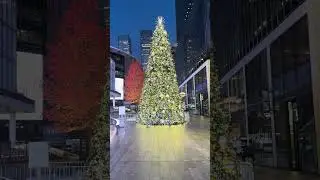 Christmas in New York 🎄🇺🇸🎄🇺🇸 Penn Station #travel #timesquarelive #newyorkcity #christmas