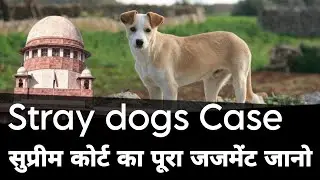 Stray Dogs Rights vs Public Safety | Supreme Court Judgement Explained