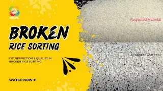 Meyer Dream UV Color Sorter Machine for Broken Rice Sorting || NICPL With Meyer Color Sorter
