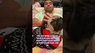HAPPY PUG HOME #grateful #spiritanimal #blessed #happyhome #swaggypugs #pug #pugs