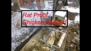 Rat Proof Chicken Feeder