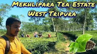 Mekhlipara Tea Estate (মেখলিপাড়া চা বাগান) // West Tripura // Vlog-42