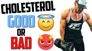 Vegan Gains vs Jeff Nippard - Dietary Cholesterol Good or Bad? | Tiger Fitness