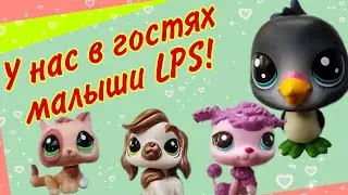 Обзор коллекции маленьких шарнирных игрушек Littlest Pet Shop (LPS) от  Hasbro.
