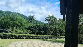 Hope Gardens Kingston Jamaica 4
