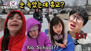 정전 대비까지 했는데… 눈은 녹고 학교는 휴교