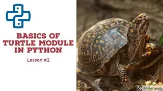 Python Turtle Module for Absolute Beginners | Part #2