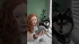 Вяжу крючком для своей собаки плюшевую игрушку &mdash; из её собственной шерсти! #вязаниекрючком #амигу...