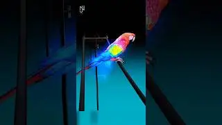 Why Birds Don't Get Electric Shock? #shorts